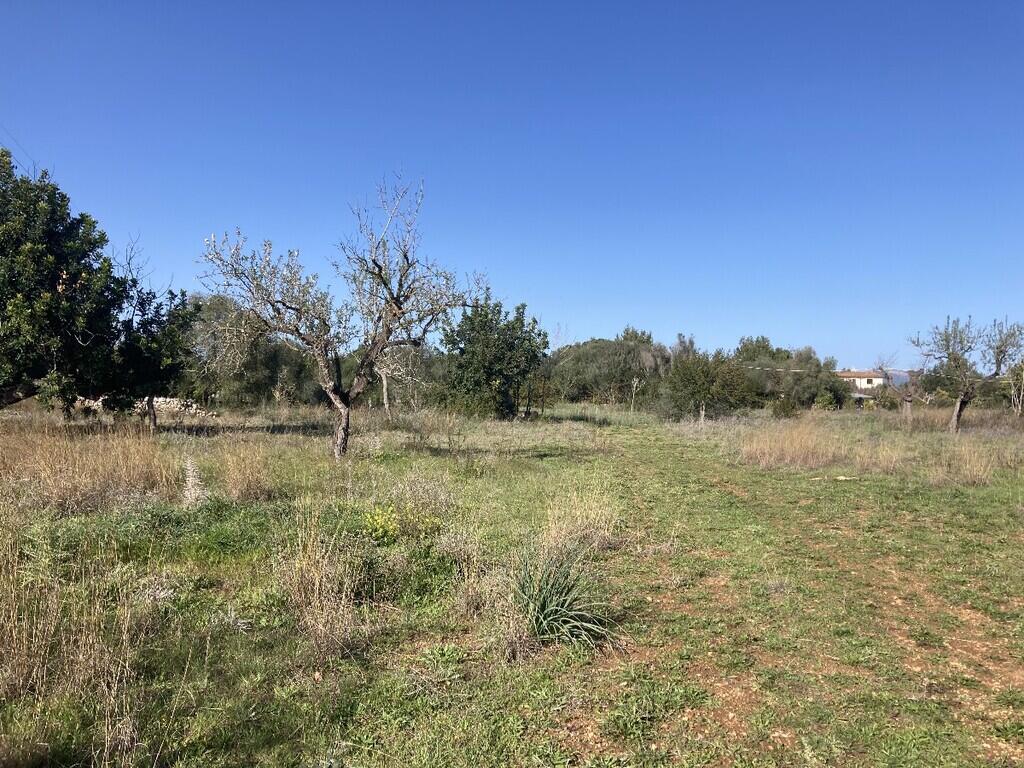 Main image of property: Balearic Islands, Mallorca, Pollensa