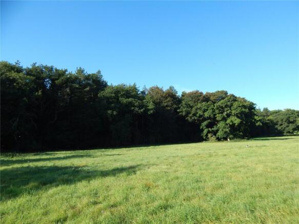Wood (Not Field)