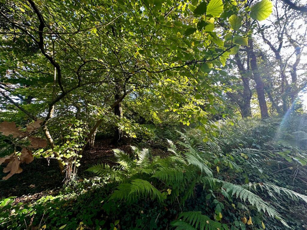Small Lane, Mobberley, Knutsford - View 5