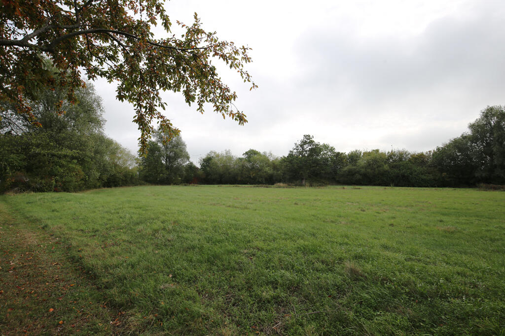 Meadowsweet, Walnut Tree, Milton Keynes photo 5