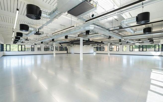 B4 floor.jpeg