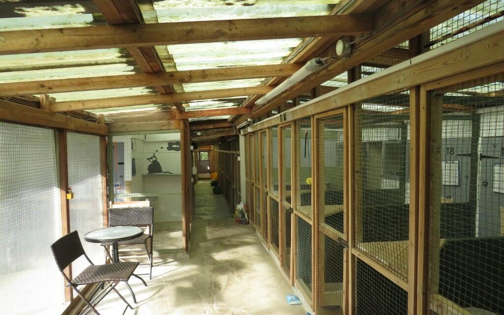 Main image of property: Very Well-known Family Run Cattery Business, Station Road, S21