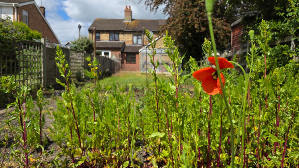 Post Office Lane, Stockton, CV47, Stockton