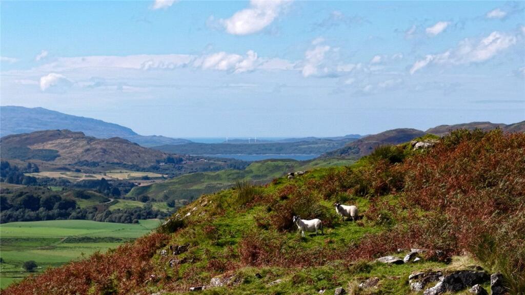 Lot 2 Turnalt Hydro Scheme, Barbreck, Lochgilphead, Argyll and Bute, PA31 - View 4