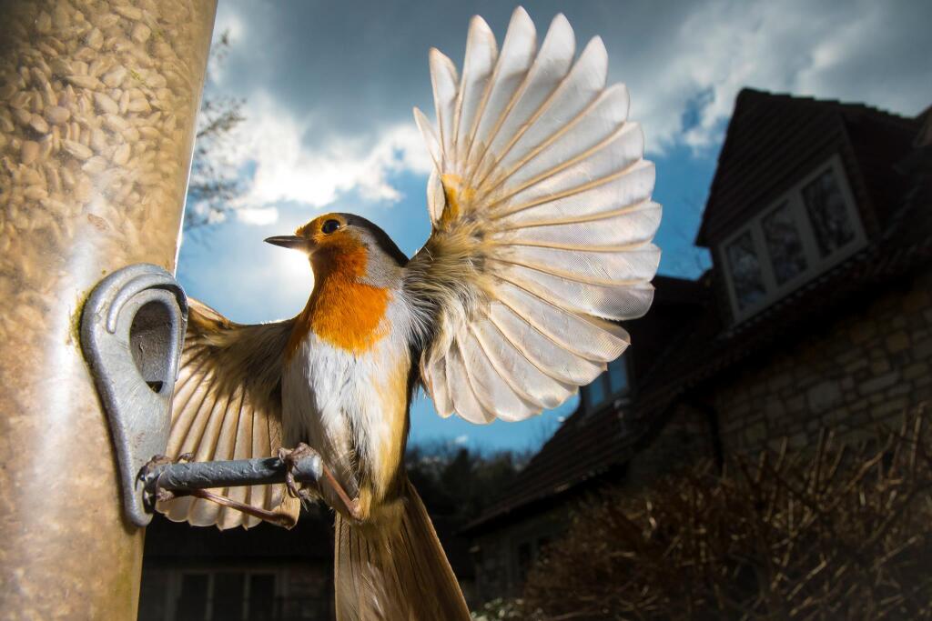 Additional image 16 of Near Wellow and Bath, Somerset, BA3