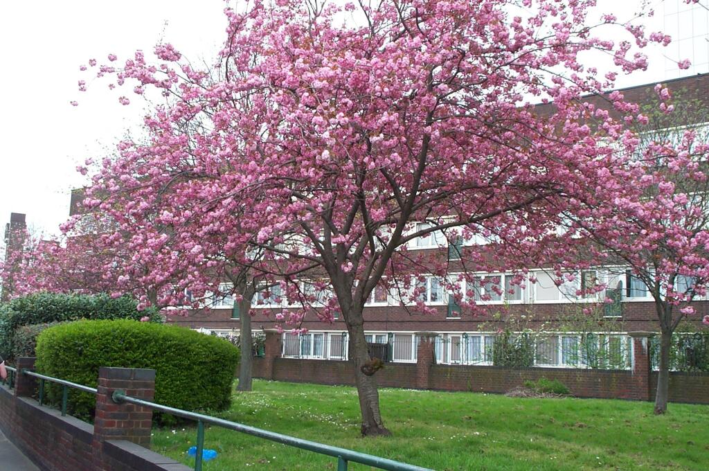 Main image of property: Bowditch, London, SE8