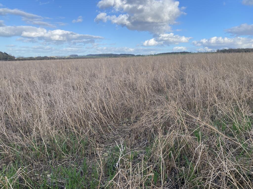 Main image of property: Lot 3 - Arable Land Off Charlbury Road, Shipton-under-Wychwood, OX7 6ED