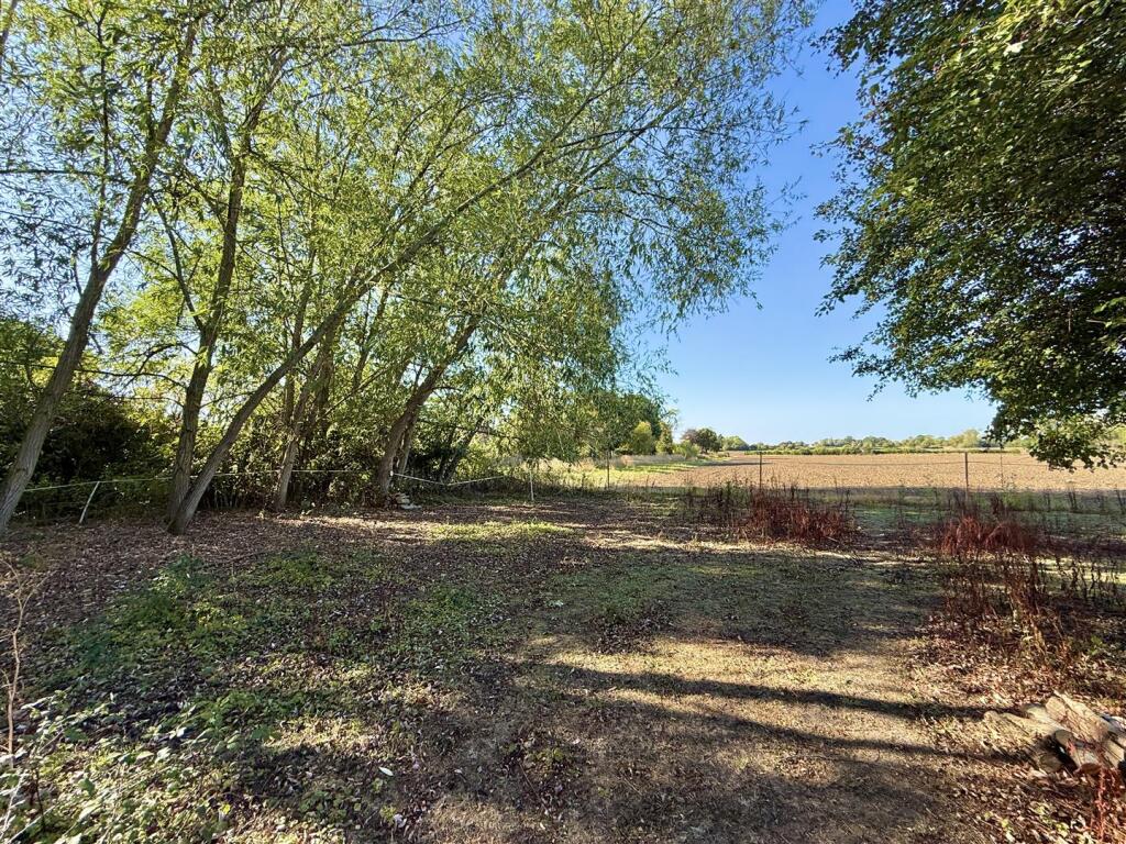 The Street, Thorpe Abbotts - View 5