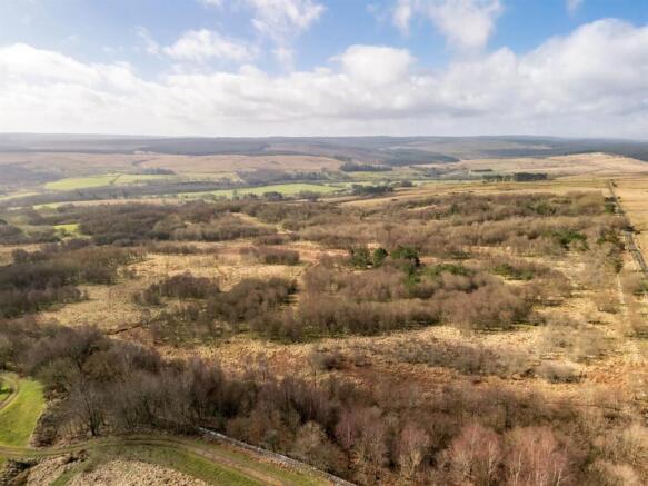 DJI_20260317103531_0190_D (1).jpg