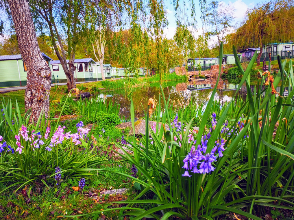 Llandderfel, Bala, LL23 7RA - View 4