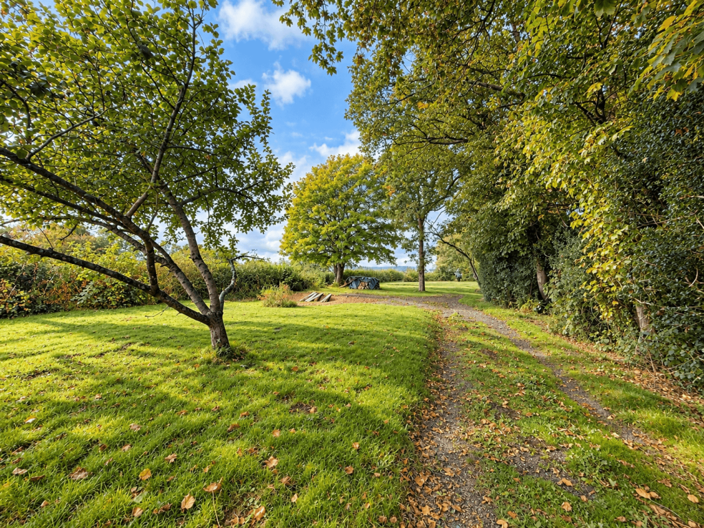 House in Peterston-super-Ely, Wyndham Park - View 4