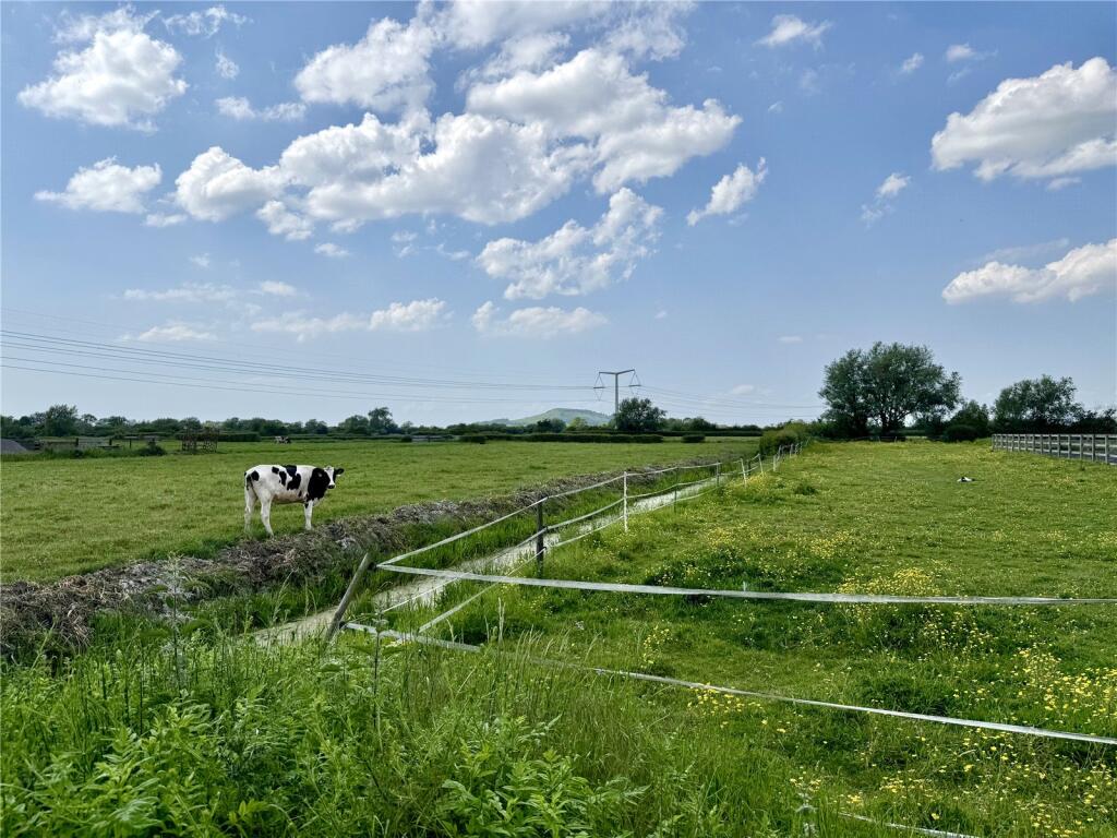 The Causeway, Mark, Somerset, TA9 photo 2