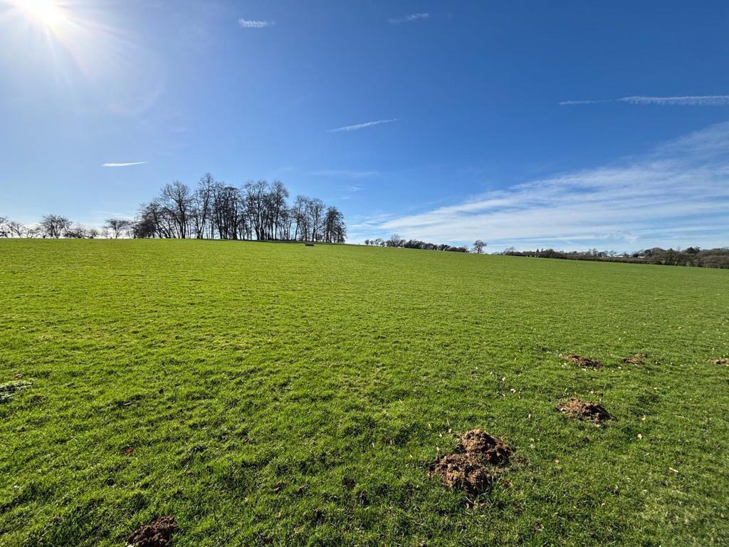 Dassett Fields Farm, Dassett Road, Avon Dassett, Southam, Warwickshire, CV47 2AA - More