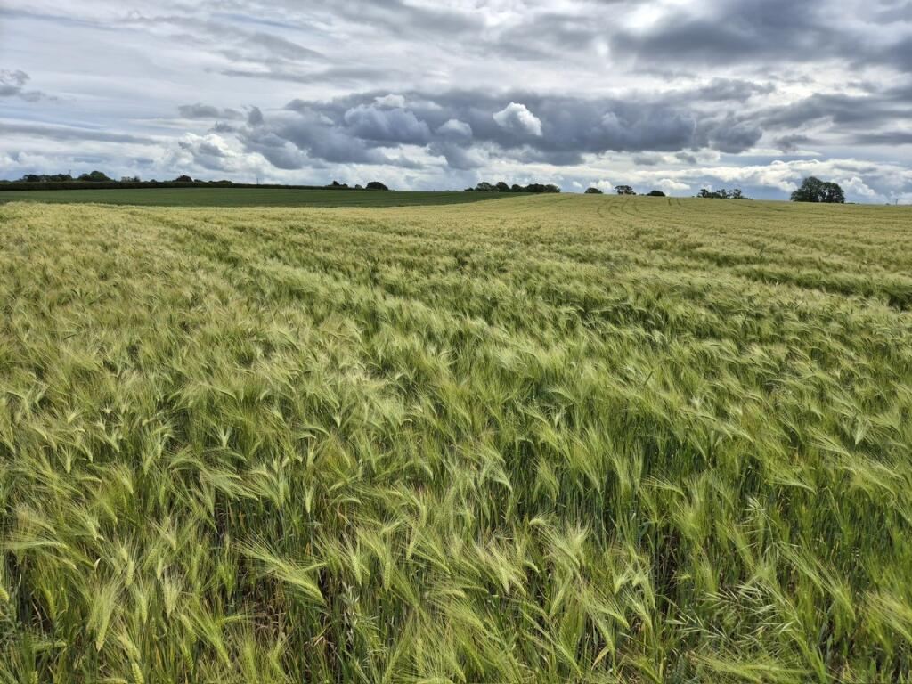Main image of property: 8.78 Acres, Thorndikes Lane, Minskip, North Yorkshire