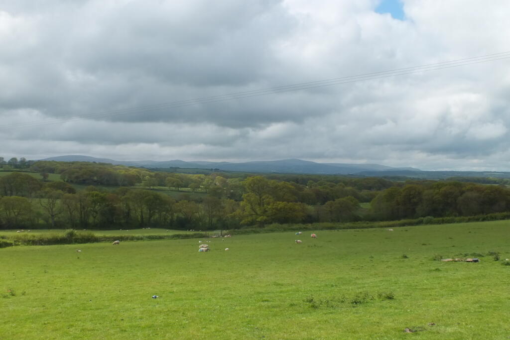 House in West Devon, Broadwoodkelly - View 5