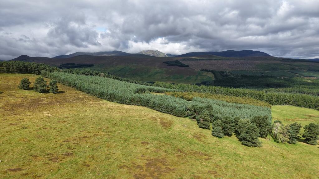 Main image of property: Lot 3 - Woodlands Hill, Old Evanton Road, Dingwall, Ross-Shire
