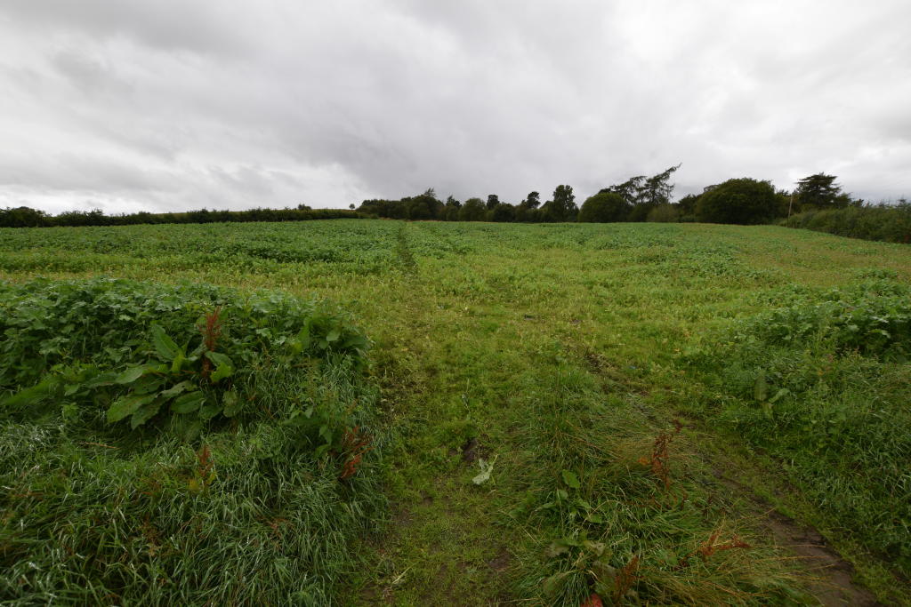 Site at Mill Of Towie, Keith - View 3