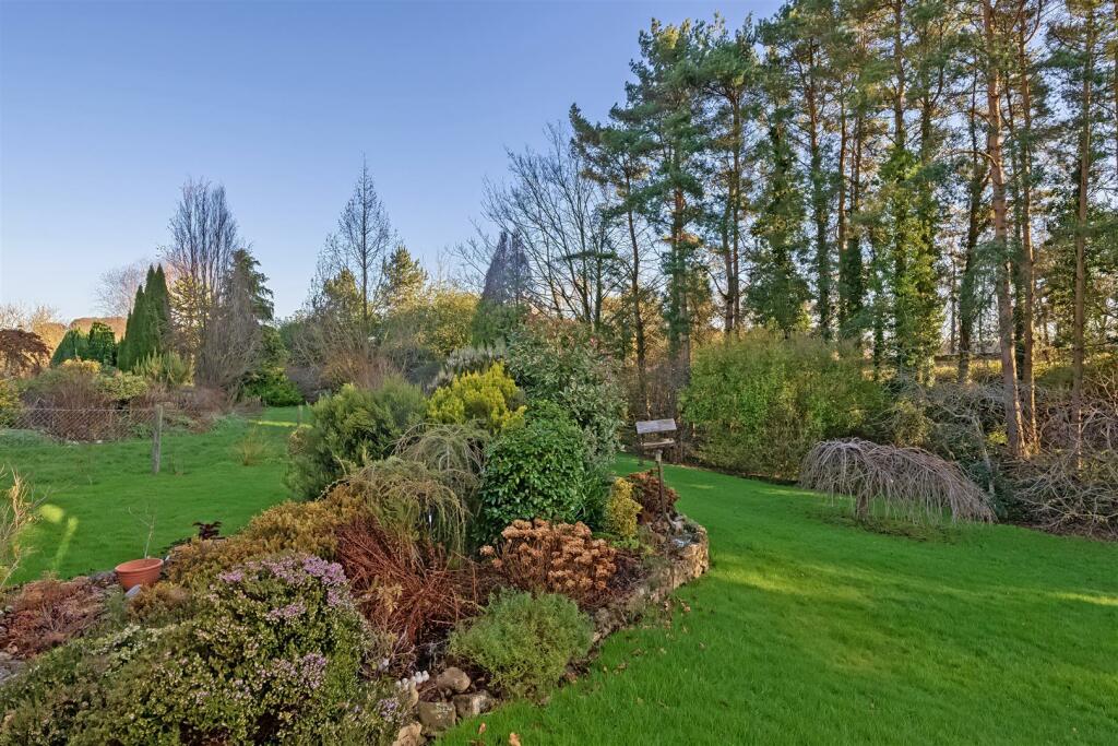 Marsh, Honiton photo 3