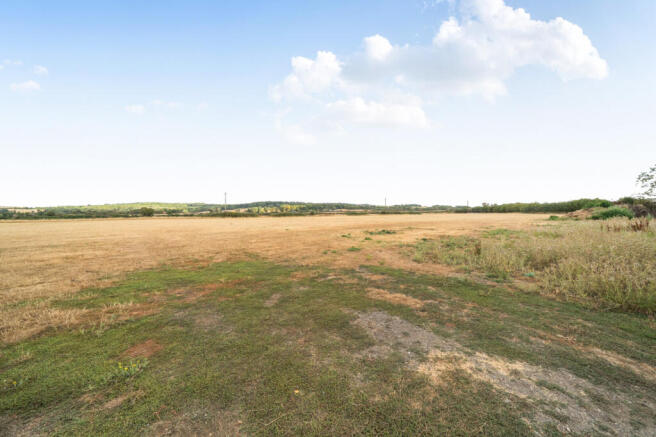 Field