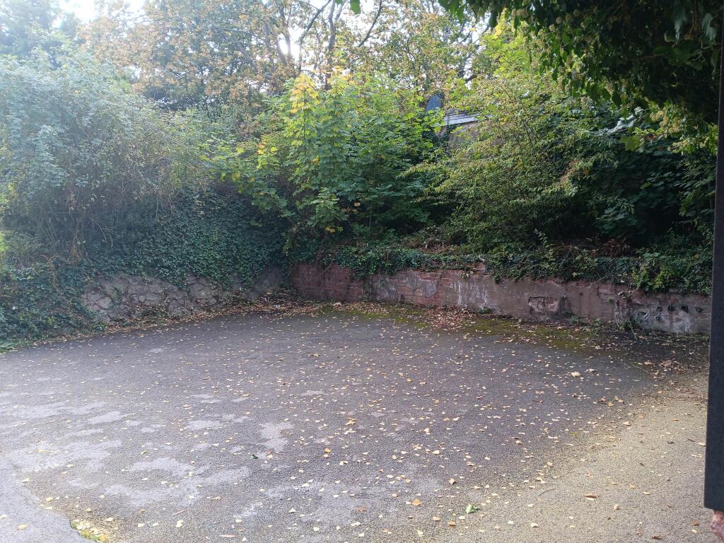 20261007_160549.jpg