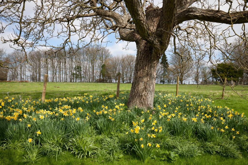 Additional image 12 of Chitterne, Warminster, Wiltshire
