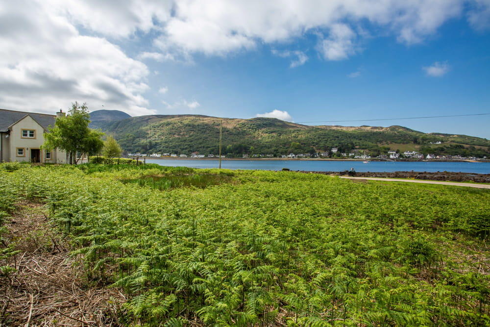 South Newton, Lochranza, KA27 - View 5