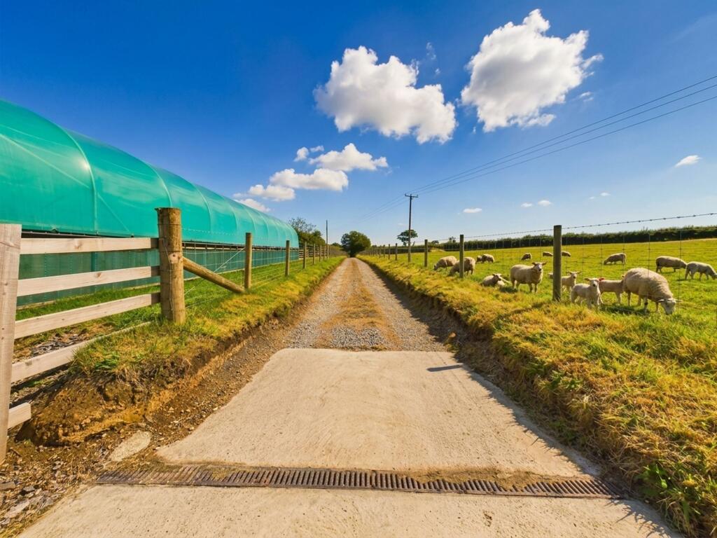 Llanycefn, Clynderwen, SA66 - View 5