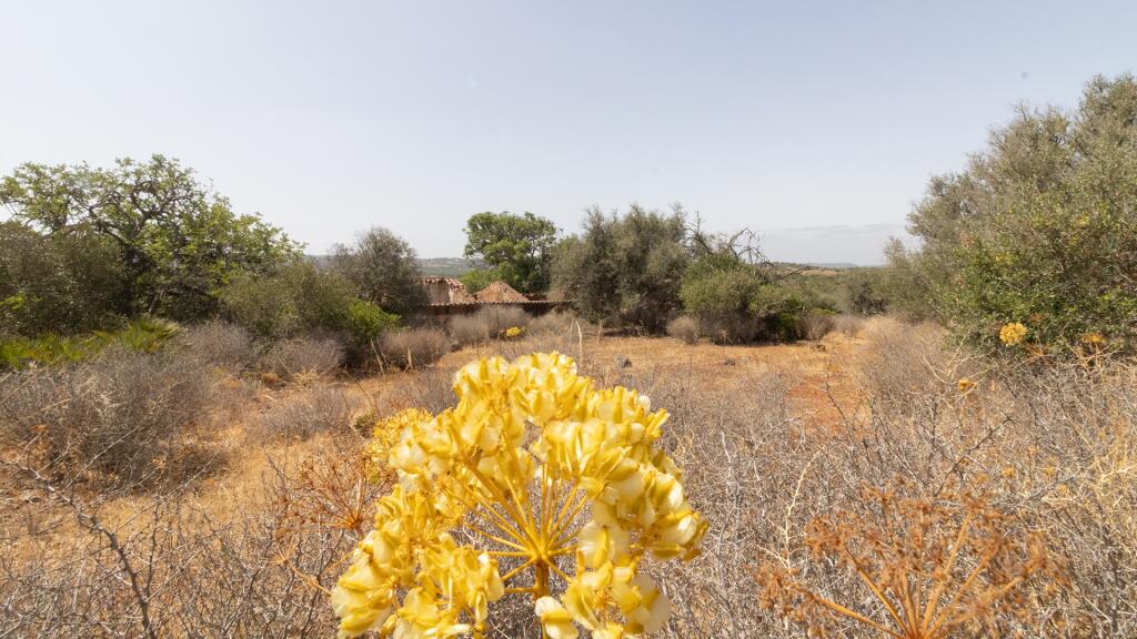 Main image of property: Algarve, Lagos