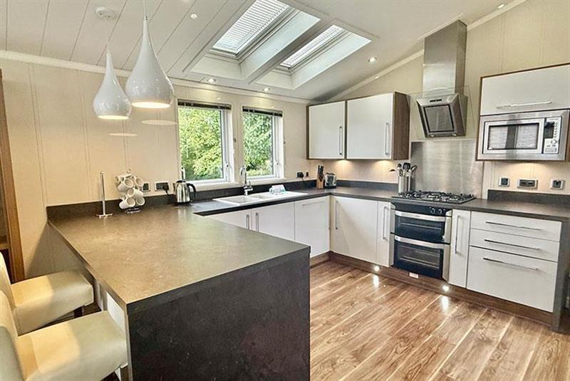 Willerby New Forest Grove  2019, Sandy Balls Holiday Village, Southampton Road, Fordingbridge, Hampshire, SP6 2JZ photo 3