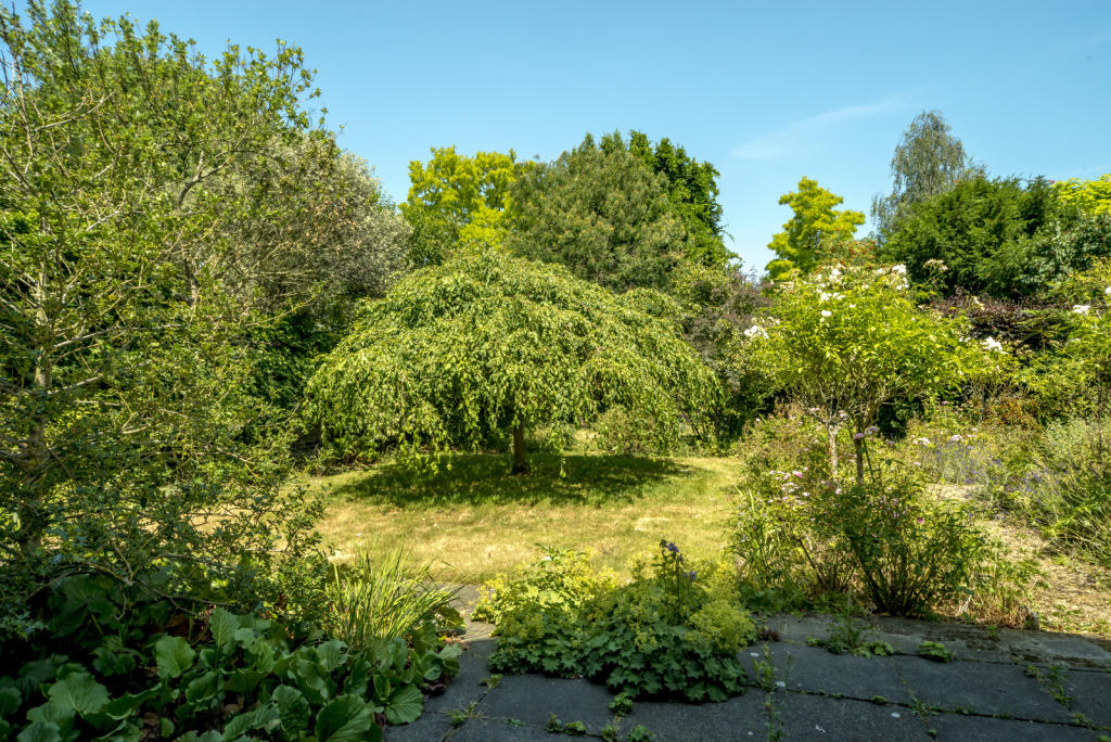 Photo of the property
