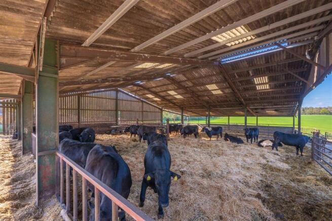 Bottom Stockyard