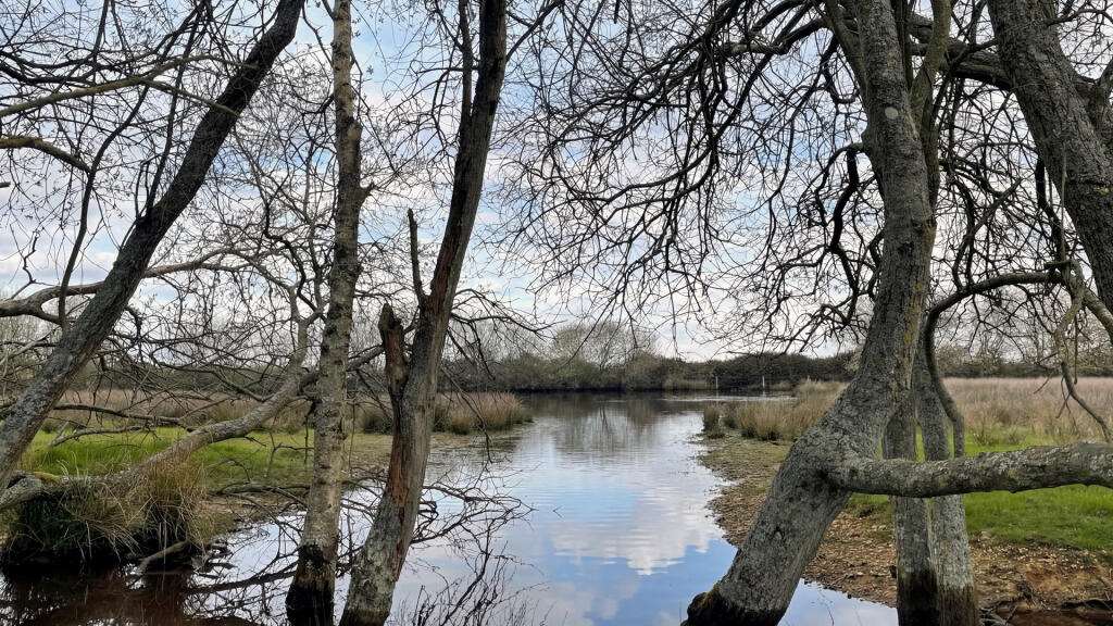 Perfect for nature lovers.