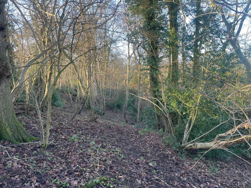 Main image of property: Woodland at Swanbach, Nr Audlem