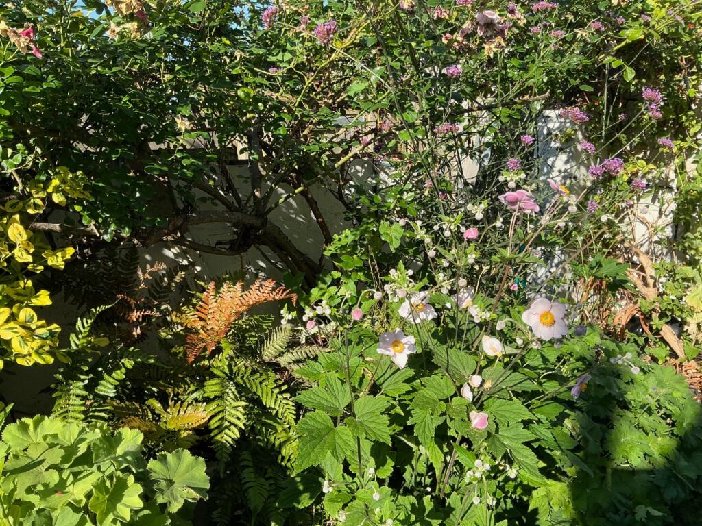 Additional image 15 of Station Road, Castle Cary, Somerset, BA7