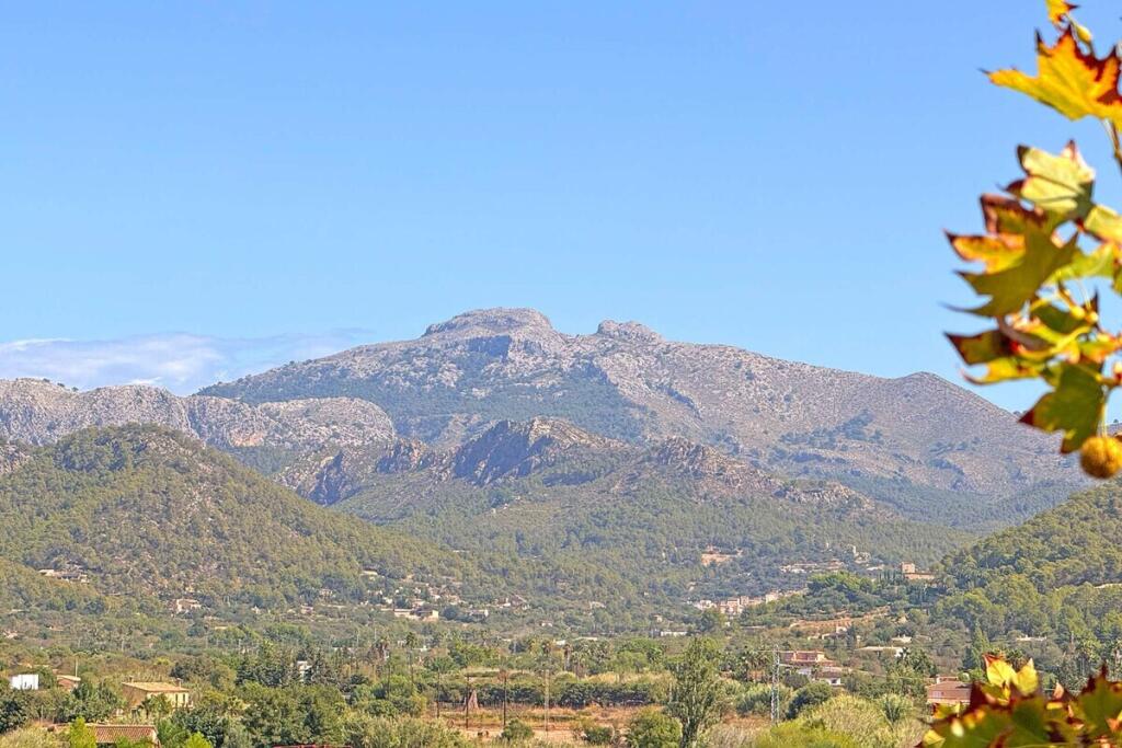 Main image of property: Balearic Islands, Mallorca, Port d`Andratx