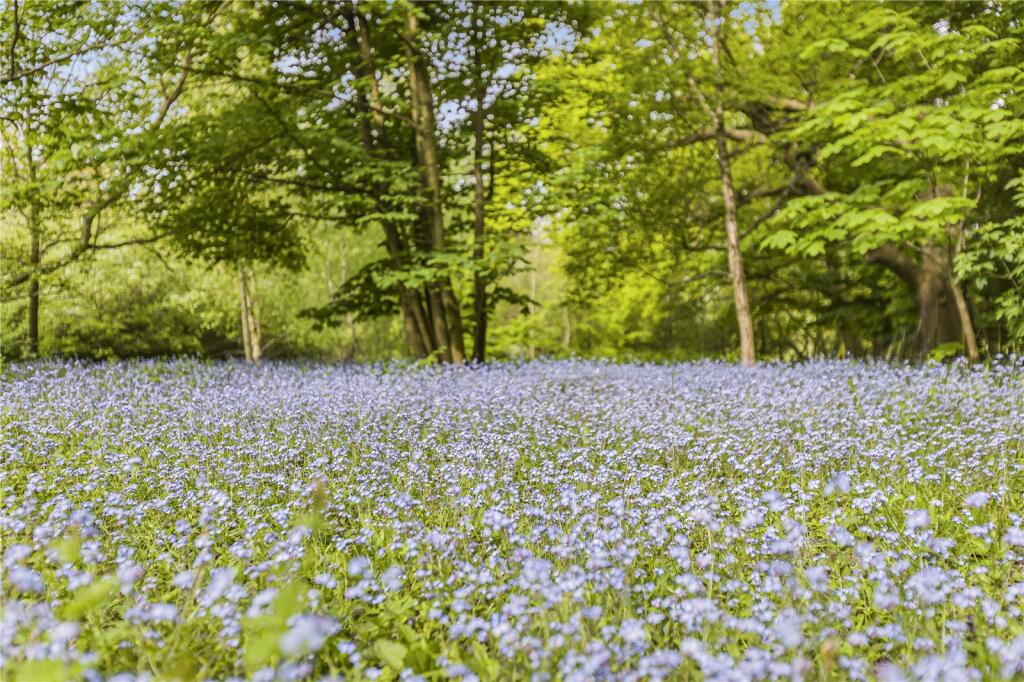 Additional image 21 of Grubbs Lane, Brookmans Park, Hertfordshire, AL9