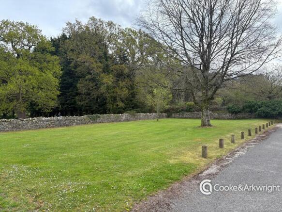 IMG_8991.JPG