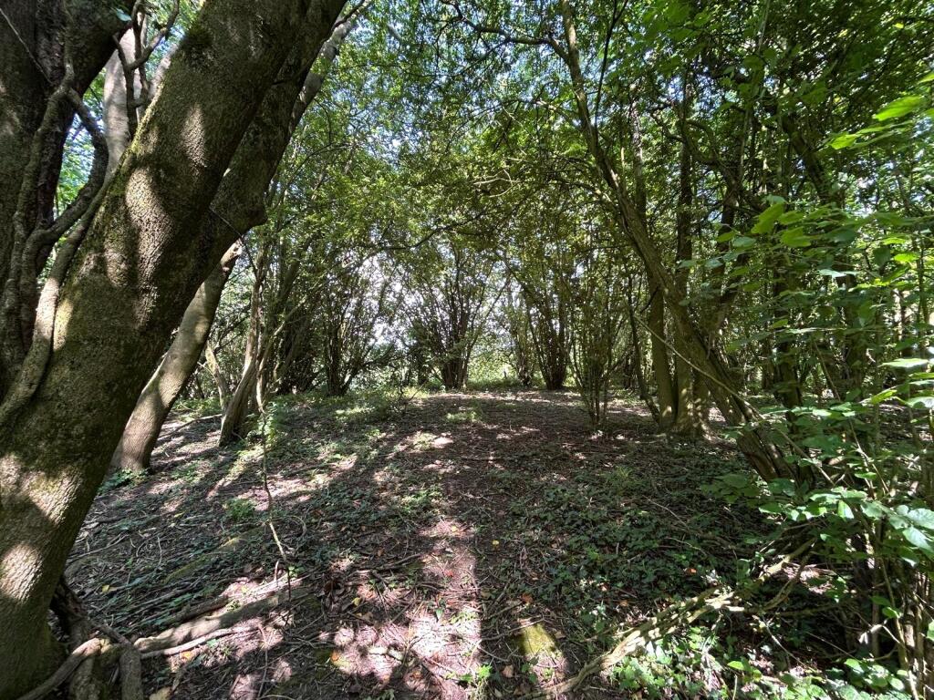 Main image of property: Hinton Hill, Crewkerne, TA18