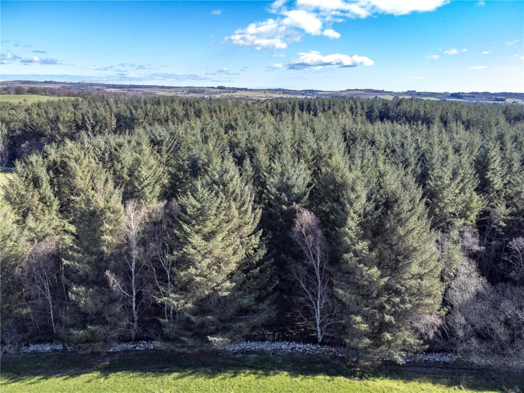Additional image 3 of Kinkell Wood, Cothal, Aberdeen, AB21