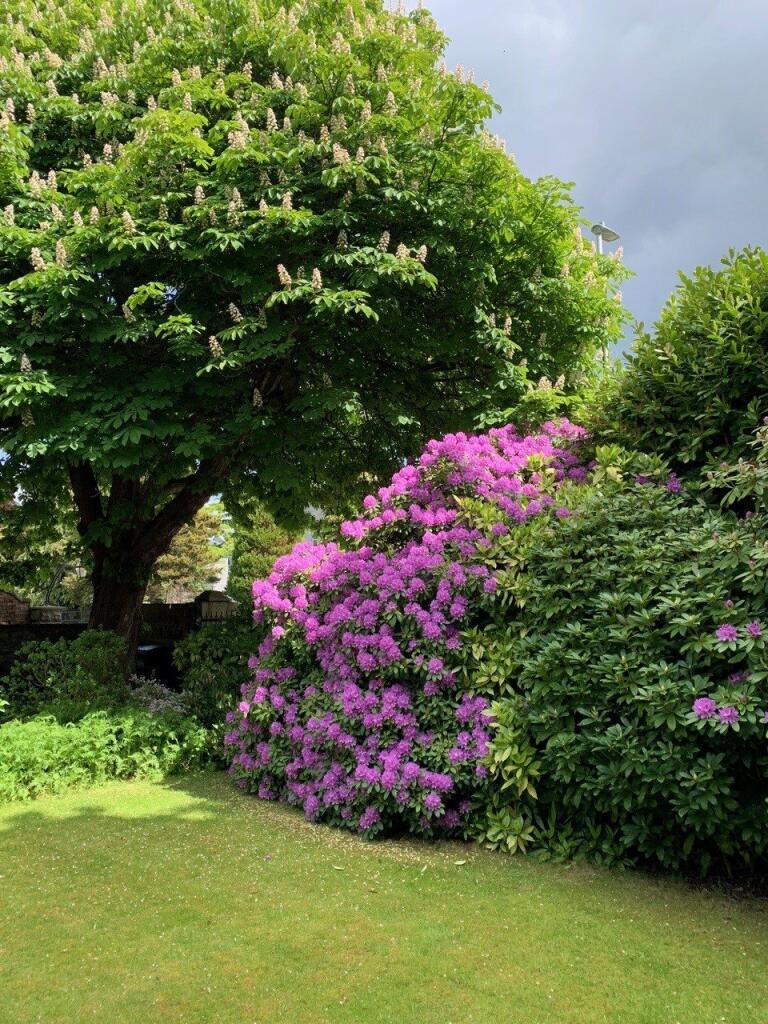 Additional image 19 of Polmuir Road, Aberdeen, Aberdeenshire