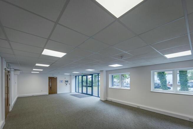 hortons_sinfin_0006.jpg