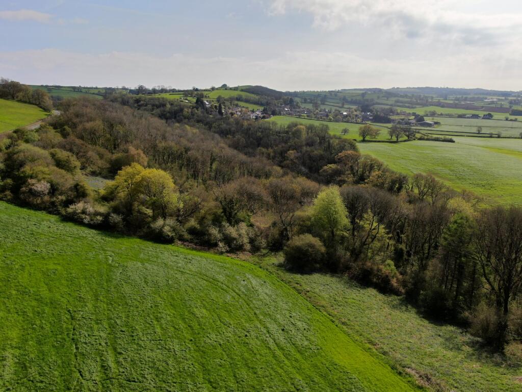 Near Wells, Somerset photo 3
