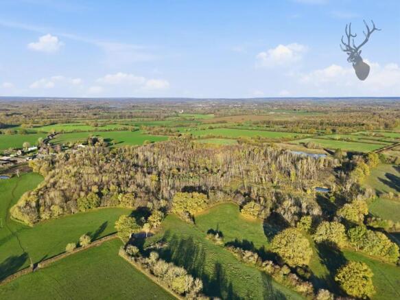 015_dji_20251120091807_0137_d.jpg