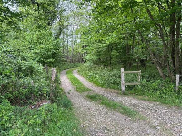 Access Road - Udimore Road copy.jpg