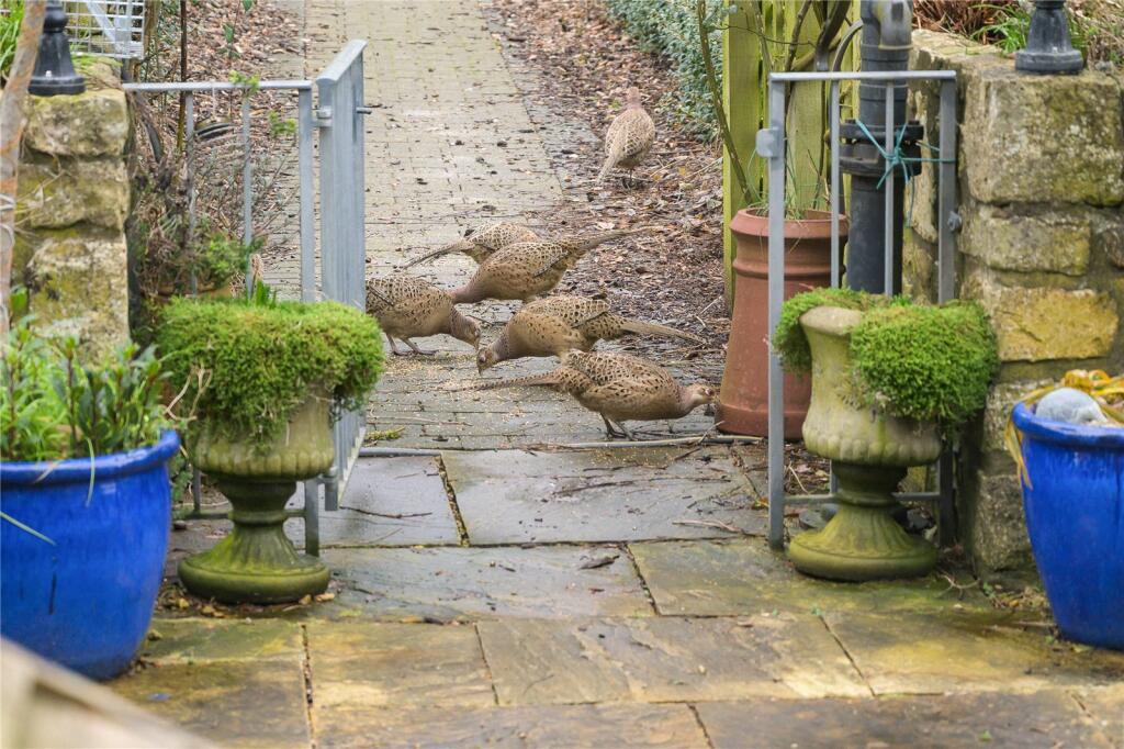 Additional image 23 of Loves Lane, Farmborough, Bath, Somerset, BA2