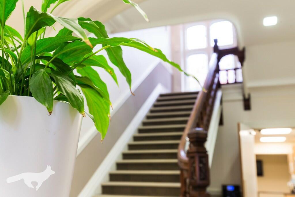 Main Staircase