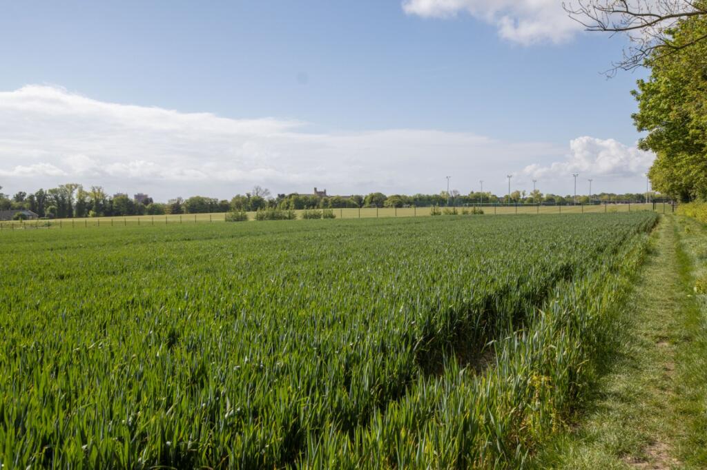 Newlands Lane, Ramsgate, Kent, CT12 - View 5