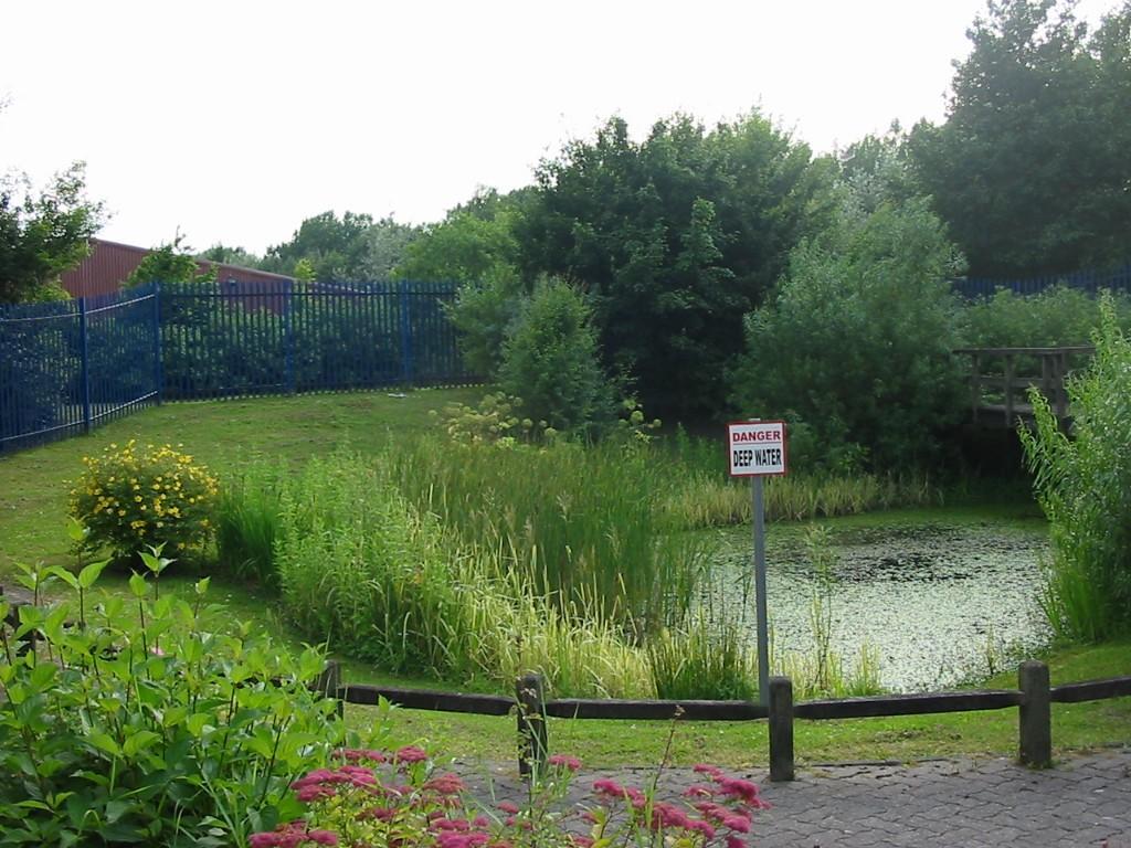 Landscaping
