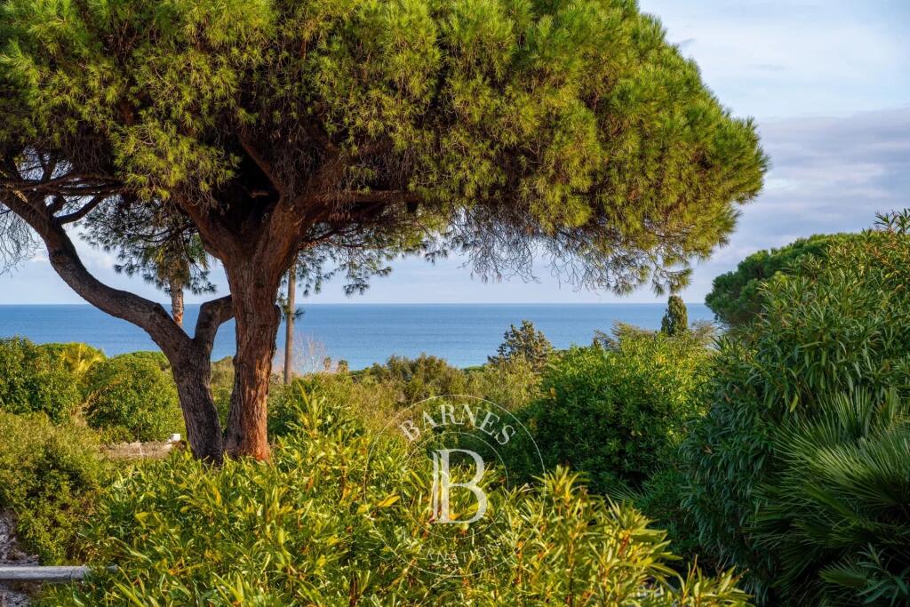 Main image of property: Provence-Alps-Cote d`Azur, Var, Ramatuelle