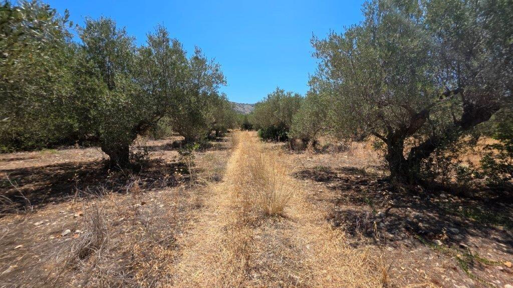 Main image of property: Almyrida, Chania, Crete